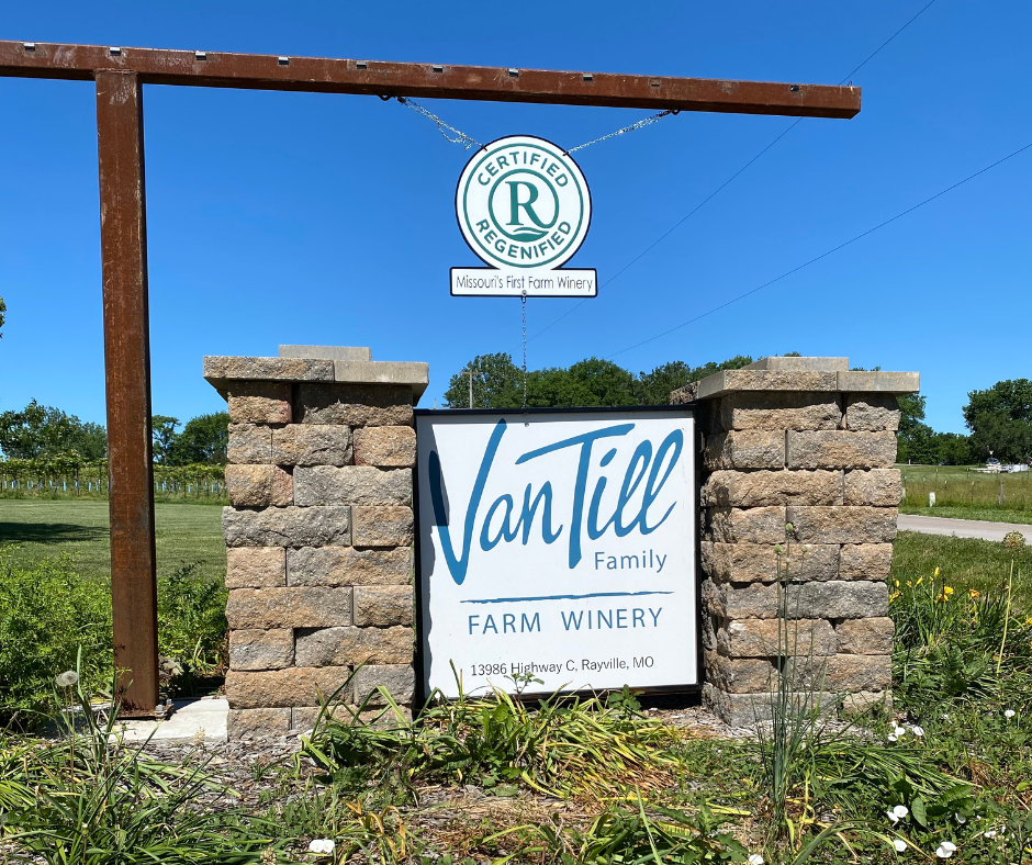 Grape Harvest is Finished for the Year